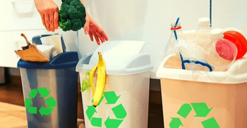 Waste segregation tips