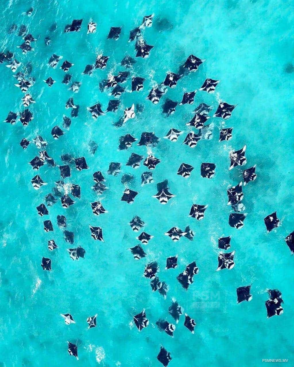 UNESCO biosphere extends status for another decade